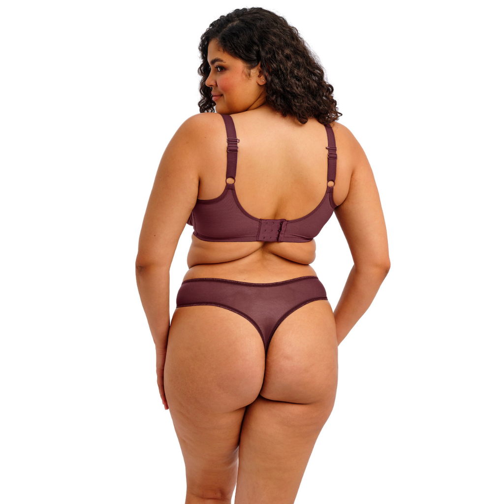 Elomi Matilda Thong Panty in Sugarplum at Circadian Intimates Bra Fitting Boutique Kansas City