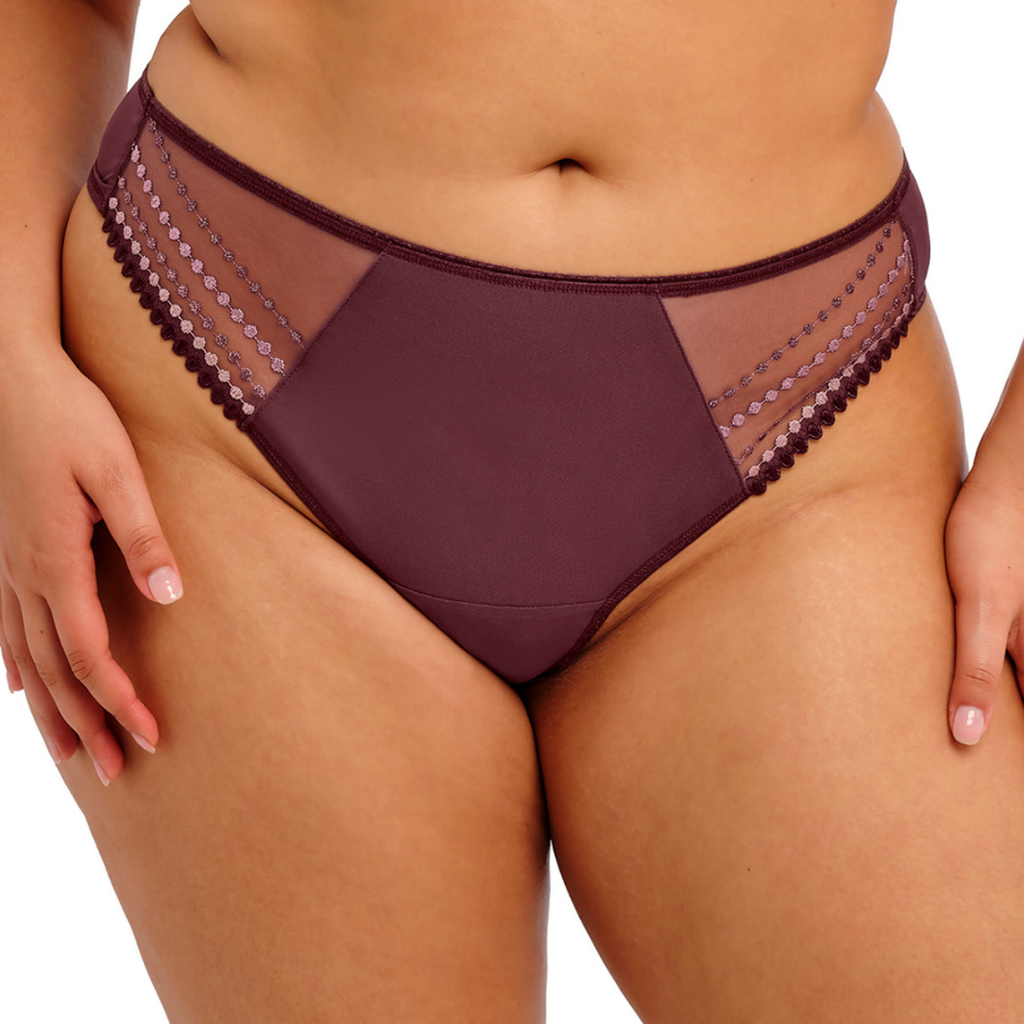 Elomi Matilda Thong Panty in Sugarplum at Circadian Intimates Bra Fitting Boutique Kansas City