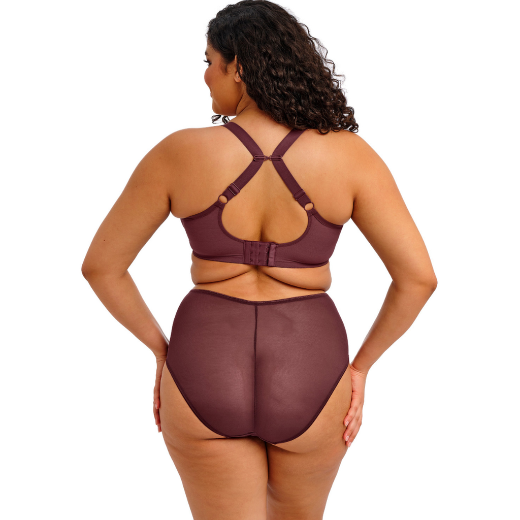 Elomi Matilda Plunge Bra in Sugarplum at Circadian Intimates Bra Fitting Boutique Kansas City