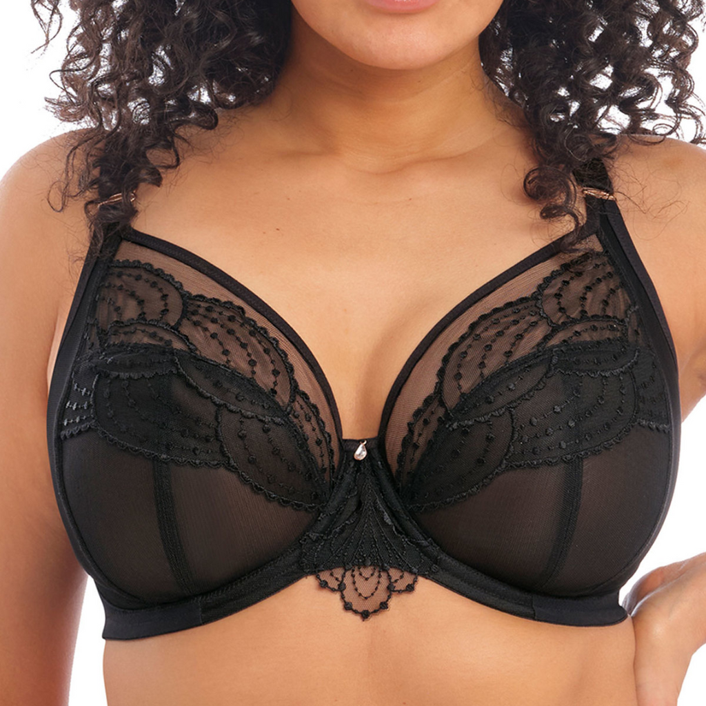 Priya Lace Plunge Bra in Black at Circadian Intimates Bra Fittings in Kansas City