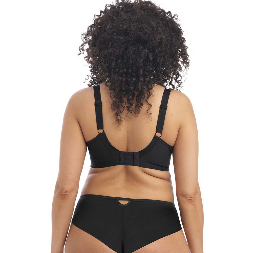 Priya Lace Plunge Bra in Black at Circadian Intimates Bra Fittings in Kansas City